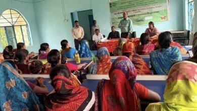 एमआरएमए 2.0 के तहत अमृतपुर में रेशम उत्पादन पर जागरूकता कार्यक्रम, किसानों को वैज्ञानिक तकनीक अपनाने की सलाह एमआरएमए 2.0 के तहत अमृतपुर में रेशम उत्पादन पर जागरूकता कार्यक्रम, किसानों को वैज्ञानिक तकनीक अपनाने की सलाह