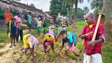 धान की रोपाई कर ग्रामीणों का अनोखा विरोध, पुआल गांव में पक्की सड़क की मांग तेज धान की रोपाई कर ग्रामीणों का अनोखा विरोध, पुआल गांव में पक्की सड़क की मांग तेज