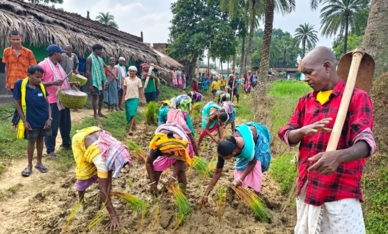 धान की रोपाई कर ग्रामीणों का अनोखा विरोध, पुआल गांव में पक्की सड़क की मांग तेज