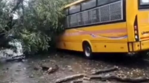 राँची:चलती स्कूल बस पर गिरा पेड़,बड़ा हादसा टला