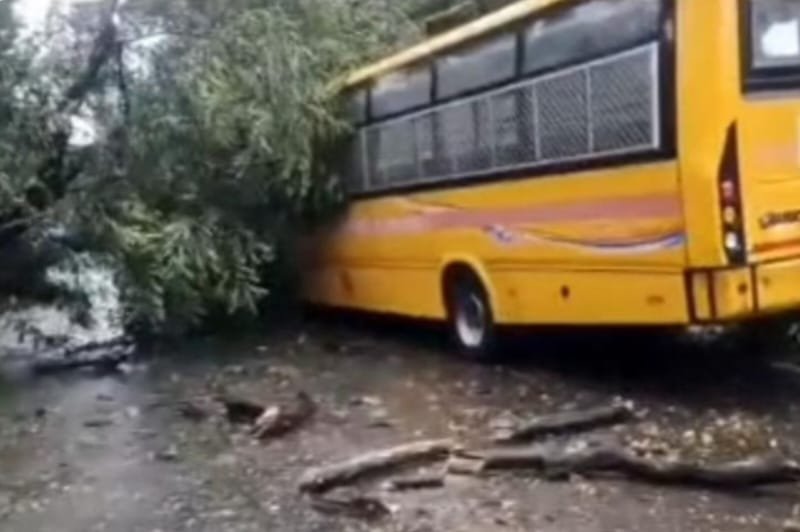 राँची:चलती स्कूल बस पर गिरा पेड़,बड़ा हादसा टला राँची:चलती स्कूल बस पर गिरा पेड़,बड़ा हादसा टला