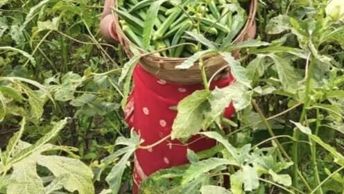 हड़िया छोड़ आत्मनिर्भर बनीं महिलाएं: तालामई मुर्मू और सोनोती टुडू की बदली जिंदगी