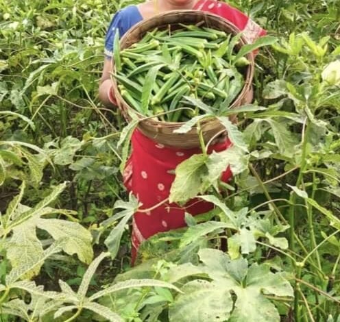 हड़िया छोड़ आत्मनिर्भर बनीं महिलाएं: तालामई मुर्मू और सोनोती टुडू की बदली जिंदगी