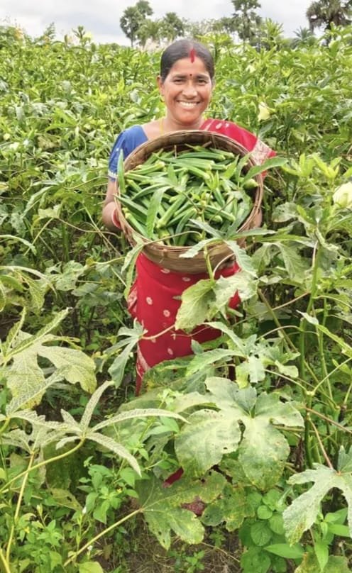 हड़िया छोड़ आत्मनिर्भर बनीं महिलाएं: तालामई मुर्मू और सोनोती टुडू की बदली जिंदगी
