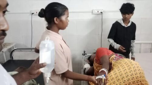 हाथीगढ़ के पास बाइक अनियंत्रित होकर पलटी, महिला गंभीर रूप से घायल