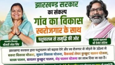 झारखंड कैबिनेट के बड़े फैसले: 7890 चापाकल लगेंगे, गोड्डा में बनेगा पशु आहार कारखाना झारखंड कैबिनेट के बड़े फैसले: 7890 चापाकल लगेंगे, गोड्डा में बनेगा पशु आहार कारखाना