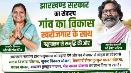 झारखंड कैबिनेट के बड़े फैसले: 7890 चापाकल लगेंगे, गोड्डा में बनेगा पशु आहार कारखाना