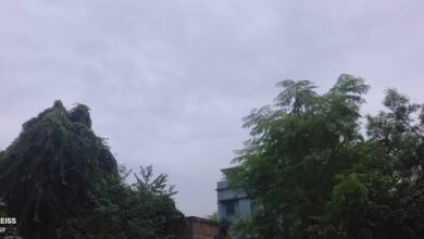 कोटालपोखर में बदला मौसम,बारिश की आशंका से किसान चिंतित कोटालपोखर में बदला मौसम,बारिश की आशंका से किसान चिंतित