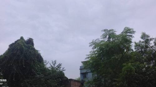 कोटालपोखर में बदला मौसम,बारिश की आशंका से किसान चिंतित