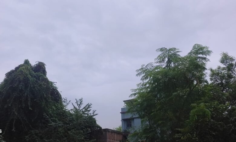 कोटालपोखर में बदला मौसम,बारिश की आशंका से किसान चिंतित कोटालपोखर में बदला मौसम,बारिश की आशंका से किसान चिंतित