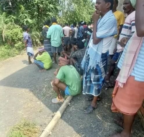 तेज रफ्तार टोटो ने छीनी 55 वर्षीय सोनाराम की जिंदगी, अस्पताल ले जाने के दौरान मौत तेज रफ्तार टोटो ने छीनी 55 वर्षीय सोनाराम की जिंदगी, अस्पताल ले जाने के दौरान मौत